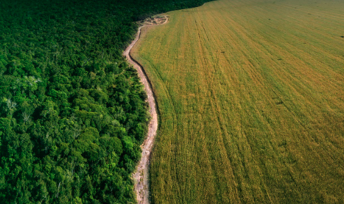 Entenda a Importância da Reserva Legal para Produtores Rurais