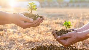 Dia Mundial do Meio Ambiente: a urgência de cultivar o planeta com ações concretas e impacto real